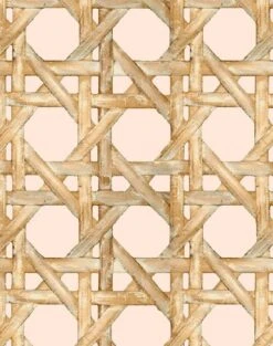 'Faux Large Caning' Wallpaper By Wallshoppe - Peach 9 'Faux Large Caning' Wallpaper By Wallshoppe - Peach -Wallpaper Store LargeCaning Peach detail 5e876588 3343 44b8 b770 652642403414