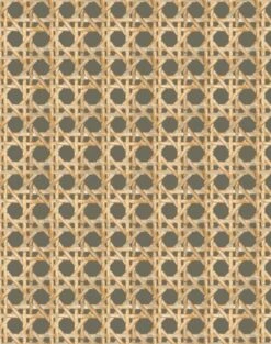 'Faux Large Caning' Wallpaper By Wallshoppe - Umber