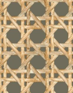 'Faux Large Caning' Wallpaper By Wallshoppe - Umber 9 'Faux Large Caning' Wallpaper By Wallshoppe - Umber -Wallpaper Store LargeCaning Umber detail c5f2ac26 3840 49d1 915c 28914b390a0d