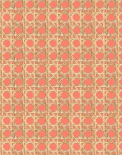 'Faux Large Caning' Wallpaper By Wallshoppe - Watermelon -Wallpaper Store LargeCaning Watermelon design 54c21501 7f69 43f2 8f21 80743f2f2b36
