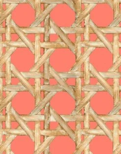 'Faux Large Caning' Wallpaper By Wallshoppe - Watermelon -Wallpaper Store LargeCaning Watermelon detail 82790f1c 9fc3 4311 9de9 934158dcf95a
