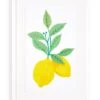 'Lemon Twist' Framed Art By Nathan Turner -Wallpaper Store Lemon Twist by Nathan Turner