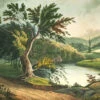 'Jessup Landing' Removable Mural -Wallpaper Store Mural JessupLanding