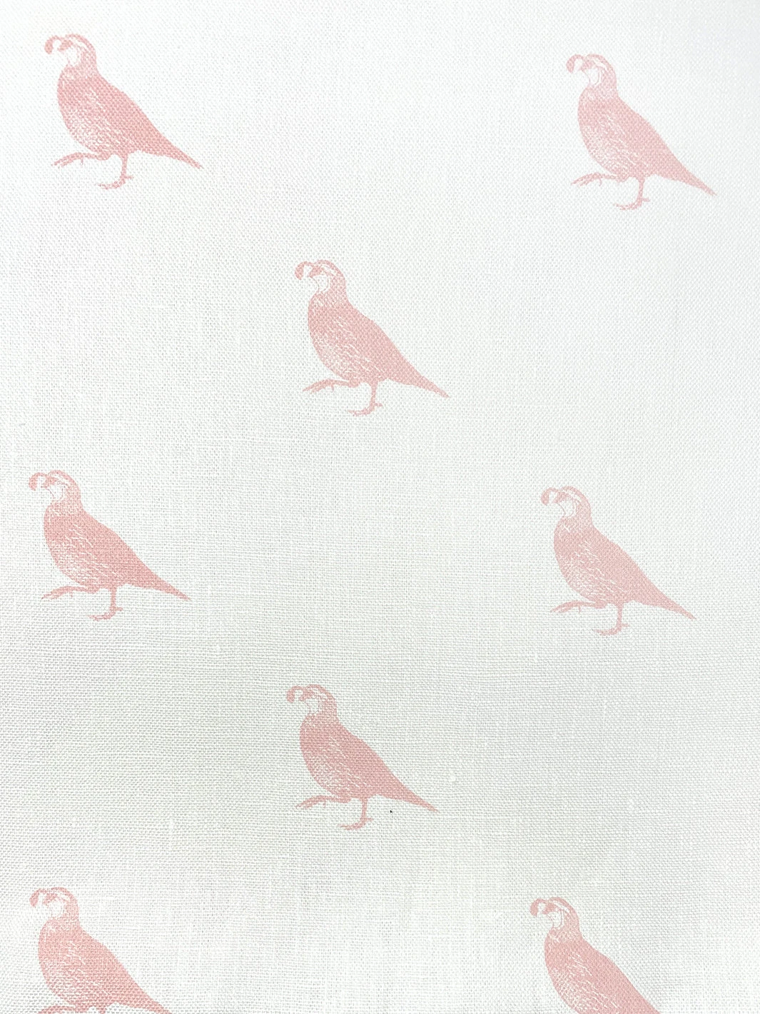 'Fabric By The Yard - California Quail - Pink On Linen 4 'Fabric By The Yard - California Quail - Pink On Linen - Image 2