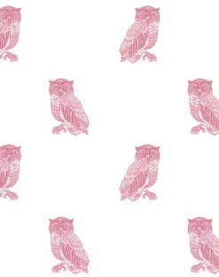'Otus The Owl' Wallpaper By Wallshoppe - Rose On White