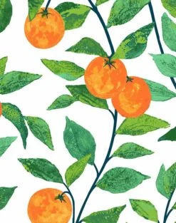 'Orange Crush' Wallpaper By Nathan Turner - White -Wallpaper Store OrangeCrush DETAIL 267d8571 102c 49f3 a18e 7a37ce7af8b0