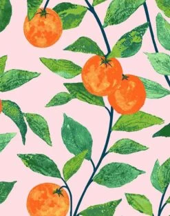 'Orange Crush' Wallpaper By Nathan Turner - Pink -Wallpaper Store OrangeCrush pink.detail 2829fa8d 4faa 4be6 ae85 bf714bd048b5