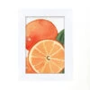 'Orange Slice' Framed Art By Nathan Turner -Wallpaper Store OrangeSlicebyNathanTurner 46cfa7a4 8109 4922 84eb 9c615194efdb