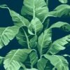'Pacifico Palm' Wallpaper By Nathan Turner - Indigo -Wallpaper Store Pacifico Palm Indigo 2 6db58c2e 31b1 4fb0 aedc 29c04e04278a