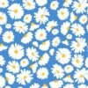 'Pop Daisy' Wallpaper By Wallshoppe - Cerulean