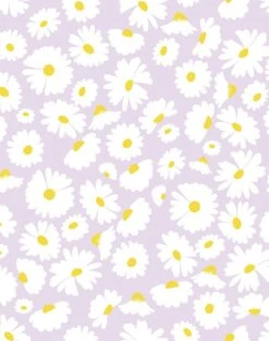 'Pop Daisy' Wallpaper By Wallshoppe - Lavender