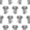 'Raja The Elephant' Wallpaper By Wallshoppe - Onyx