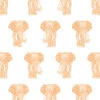 'Raja The Elephant' Wallpaper By Wallshoppe - Pushpop -Wallpaper Store Raja the Elephant Pushpop