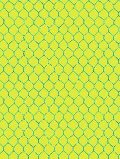 'Evelyn's Chicken Wire' Wallpaper By Sarah Jessica Parker - Teal On Citron
