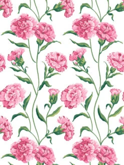 'Townhouse' Mural Wallpaper By Sarah Jessica Parker - Blush