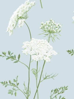 'The Queen's Lace' Wallpaper By Sarah Jessica Parker - Misty Blue -Wallpaper Store SJP WS The Queens Lace Misty Blue Detail