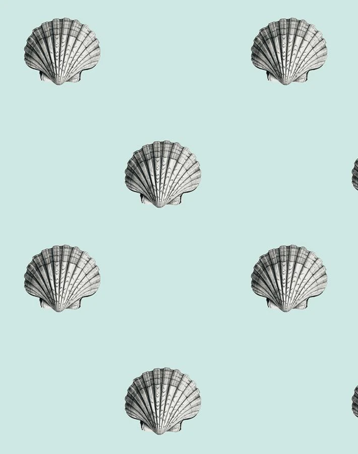 'Seashell' Wallpaper By Wallshoppe - Seafoam 3 'Seashell' Wallpaper By Wallshoppe - Seafoam