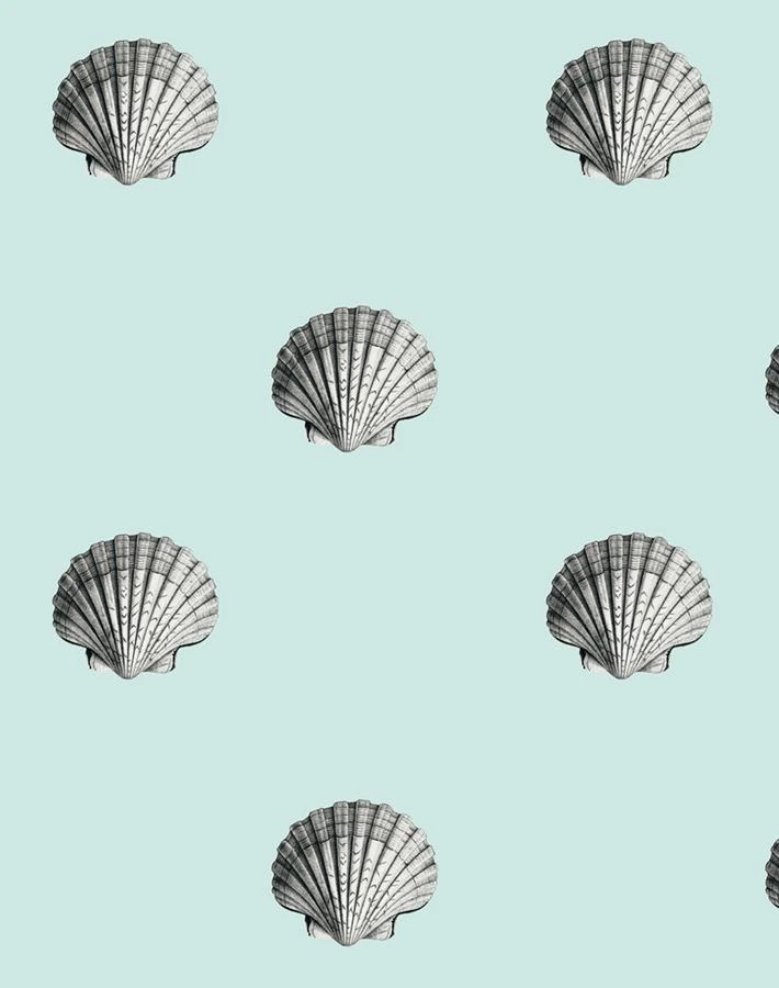 'Seashell' Wallpaper By Wallshoppe - Seafoam 6 'Seashell' Wallpaper By Wallshoppe - Seafoam - Image 4
