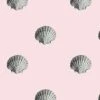 'Seashell' Wallpaper By Wallshoppe - Shell -Wallpaper Store Seashell forweb shell 7dd04da4 fd60 4c4b b68f faad383c65f5