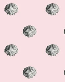 'Seashell' Wallpaper By Wallshoppe - Shell