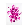 'Shades Of Pink Palm Small' Acrylic Art By Artshoppe -Wallpaper Store ShadesofPinkPalmonAcrylicSmall