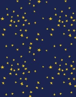 'Star' Wallpaper By Clare V. - Gold / Navy
