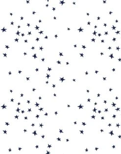 'Star' Wallpaper By Clare V. - Navy / White