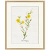 'Valley Wildflower Bush Poppy' By Nathan Turner Framed Art -Wallpaper Store Valley Wildflower Bush Poppy Design