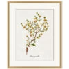 'Valley Wildflower Honeysuckle' By Nathan Turner Framed Art -Wallpaper Store Valley Wildflower Honeysuckle Design