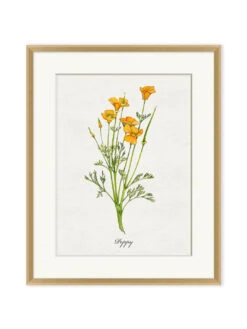 'Valley Wildflower Poppy' By Nathan Turner Framed Art