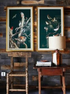'Woodland Birds 1' Framed Art By Nathan Turner