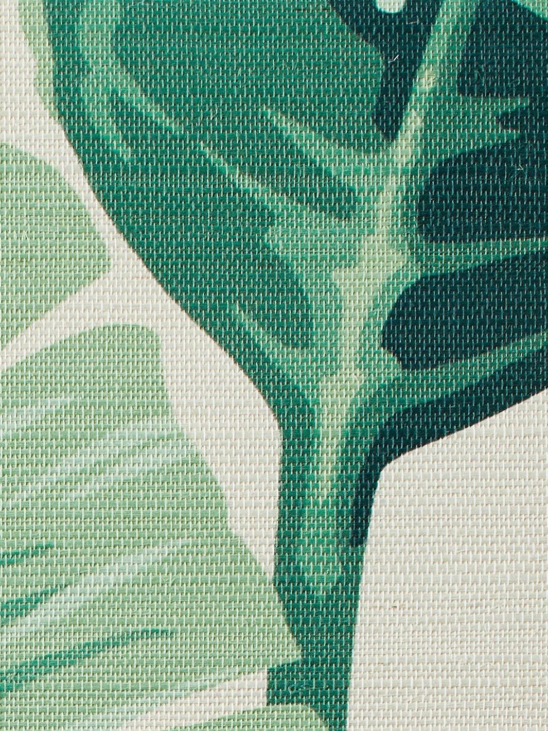 'Pacifico Palm' Grasscloth Wallpaper By Nathan Turner - Ivory - Image 3