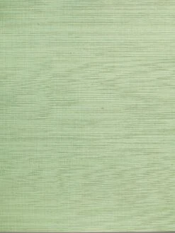 'Solid Grasscloth Wallpaper By Wallshoppe - Spring Green