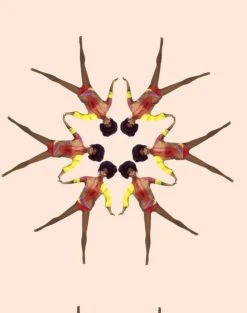 'Synchronized Vintage Christie™' Wallpaper By Barbie™ - Peach -Wallpaper Store Wallshoppe Synchronized Vintage Christie Wallpaper by Barbie Peach Detail 601770ec e504 4143 bc89 96a6619ef544