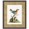 'Woodland Perch 1' By Nathan Turner Framed Art -Wallpaper Store Woodland Perch 1 Design 6fd5b6c0 2fdc 4e29 aa5f 9dabc7c8337c