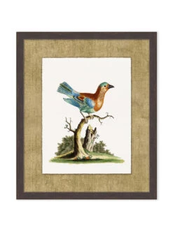'Woodland Perch 1' By Nathan Turner Framed Art