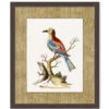 'Woodland Perch 2' By Nathan Turner Framed Art -Wallpaper Store Woodland Perch 2 Design
