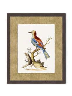 'Woodland Perch 2' By Nathan Turner Framed Art