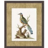 'Woodland Perch 3' By Nathan Turner Framed Art -Wallpaper Store Woodland Perch 3 Design