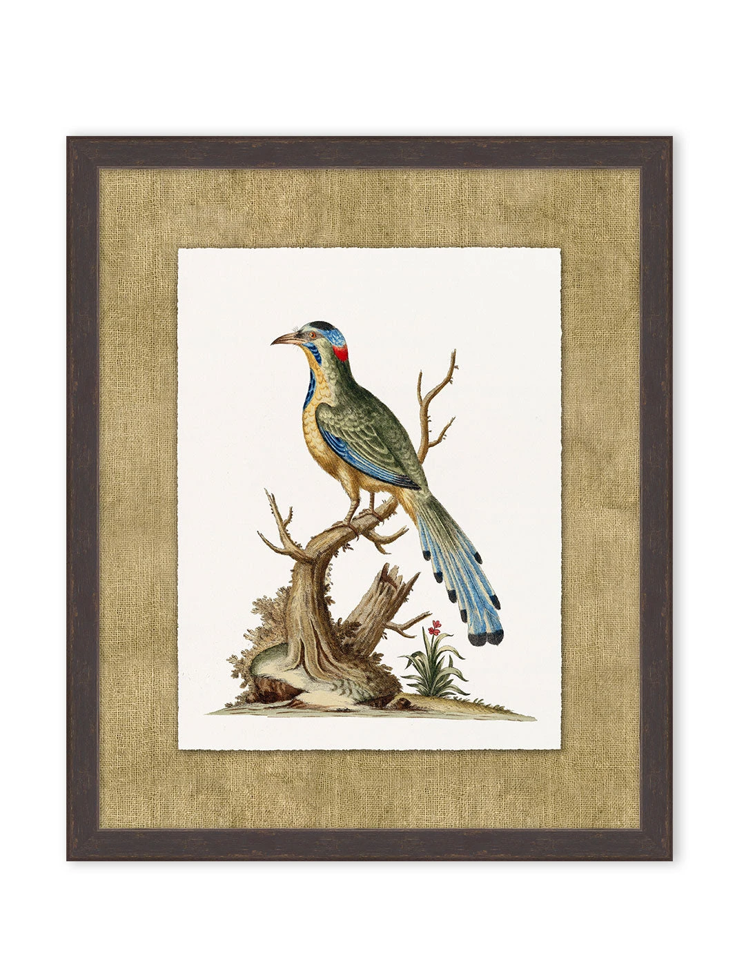 'Woodland Perch 3' By Nathan Turner Framed Art 3 'Woodland Perch 3' By Nathan Turner Framed Art