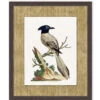 'Woodland Perch 4' By Nathan Turner Framed Art 2 'Woodland Perch 4' By Nathan Turner Framed Art -Wallpaper Store Woodland Perch 4 Design