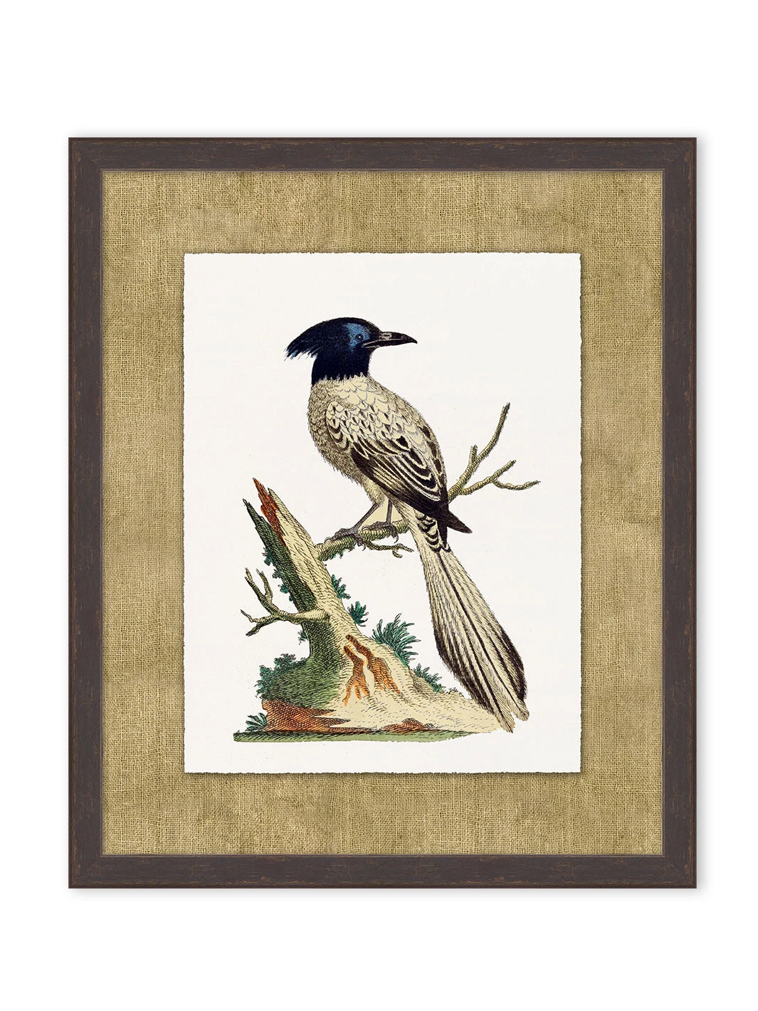 'Woodland Perch 4' By Nathan Turner Framed Art 3 'Woodland Perch 4' By Nathan Turner Framed Art