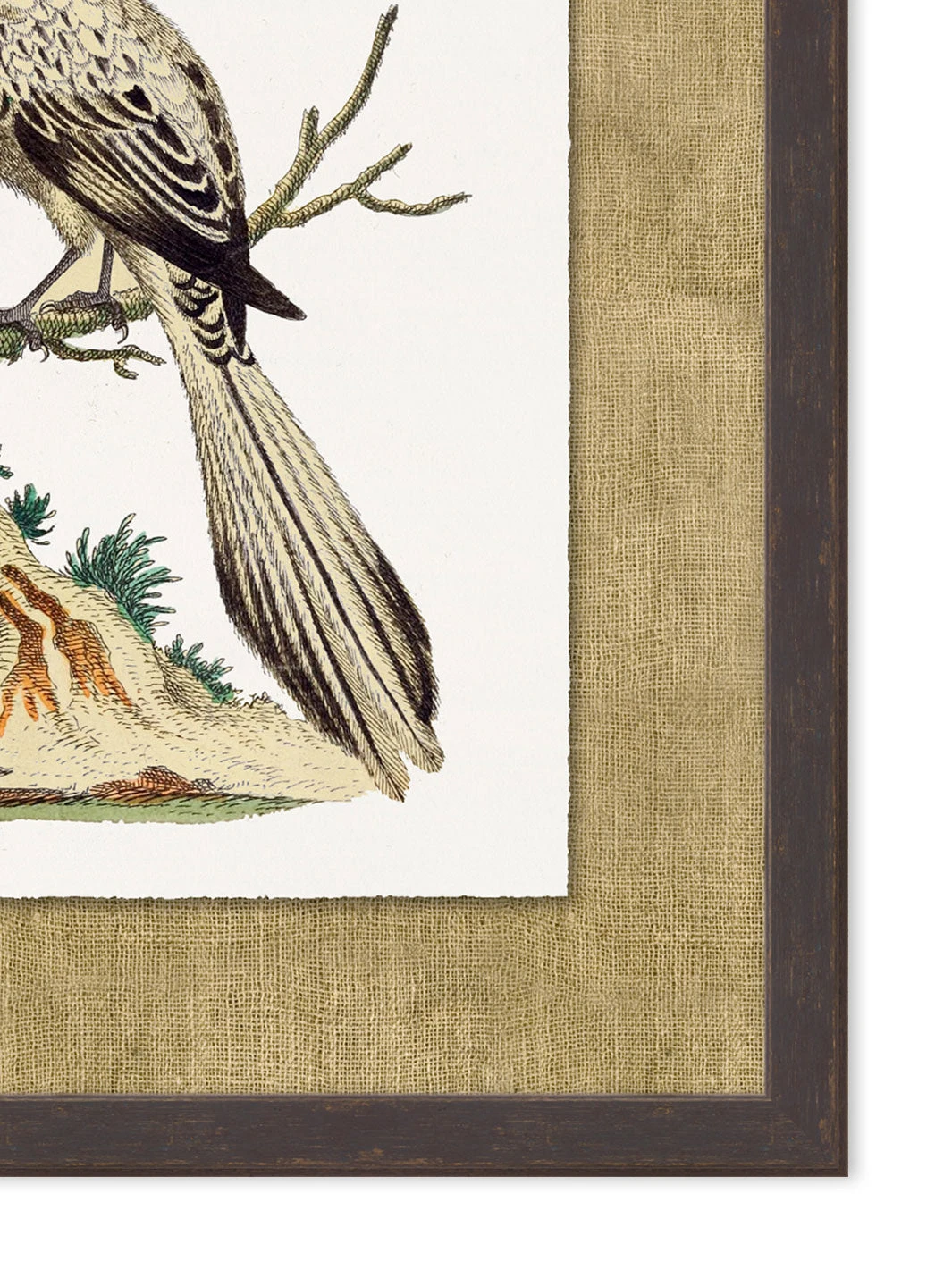 'Woodland Perch 4' By Nathan Turner Framed Art 4 'Woodland Perch 4' By Nathan Turner Framed Art - Image 2