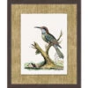 'Woodland Perch 5' By Nathan Turner Framed Art -Wallpaper Store Woodland Perch 5 Design
