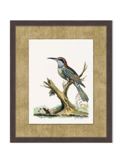 'Woodland Perch 5' By Nathan Turner Framed Art