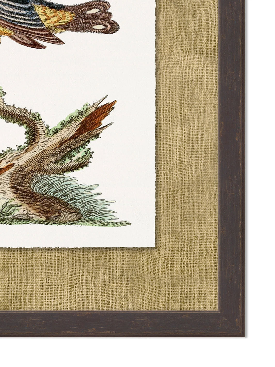 'Woodland Perch 6' By Nathan Turner Framed Art 4 'Woodland Perch 6' By Nathan Turner Framed Art - Image 2